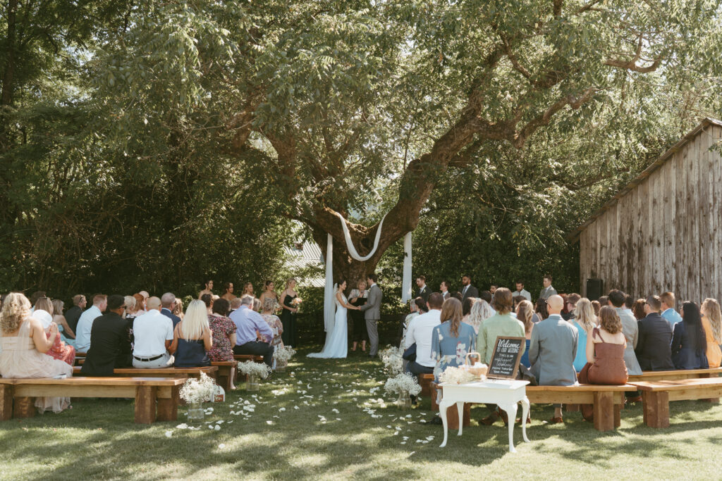 sunny ceremony on the lawn at Estate 248