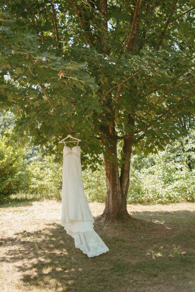 bridal gown hanging from a tree